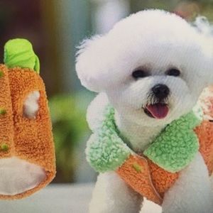 Meet your Posher, Aiden